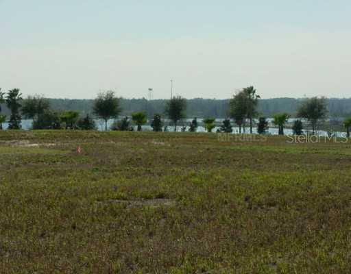 Royal Palm Dr., Groveland, FL 34736
