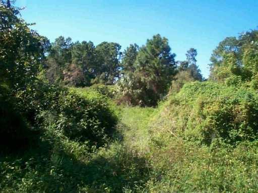 Quail Run, Leesburg, FL 34788