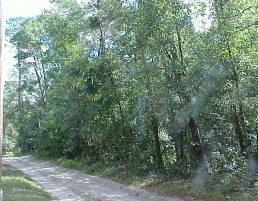 Raccoon Rd., Altoona, FL 32702