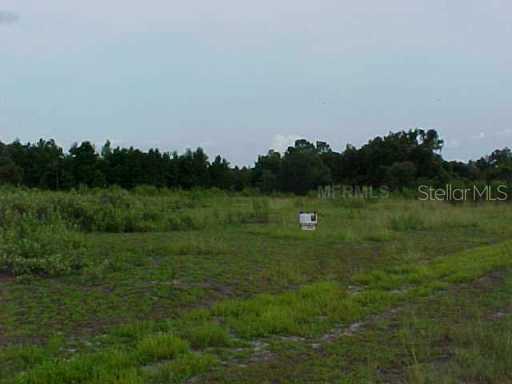 Los Robles Rd., Groveland, FL 34736