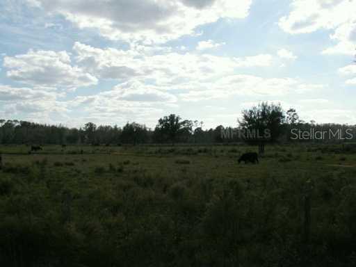 Sloans Ridge Rd., Groveland, FL 34736