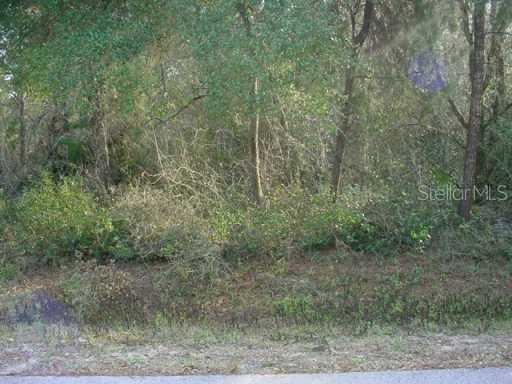 Pinecrest Rd., Eustis, FL 32736