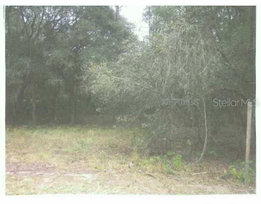 Nellie Oaks Bend, Clermont, FL 34711