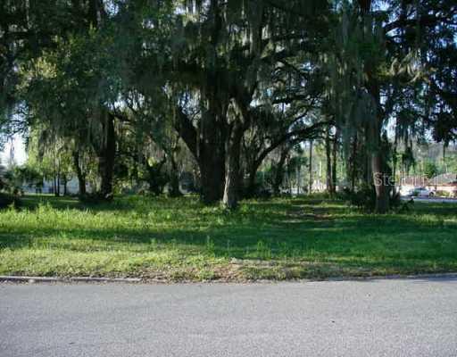 815 Tangerine St., Tavares, FL 32778