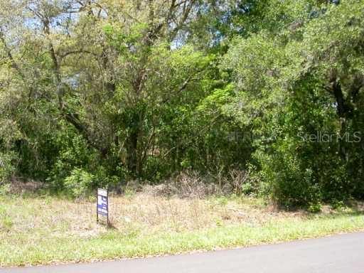 16414 Se 92nd, Summerfield, FL 34491