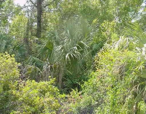 Country Club Dr., Crystal River, FL 34429