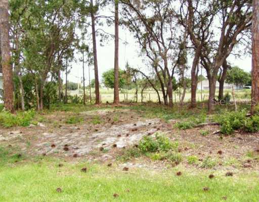 3020 Manatee Rd., Tavares, FL 32778