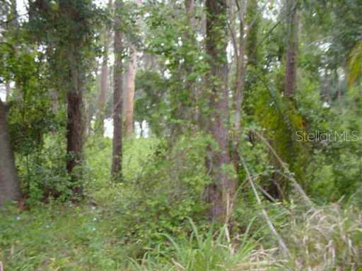 Lake Eustis Dr., Tavares, FL 32778