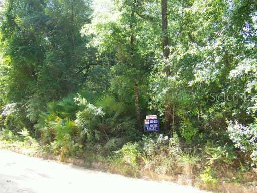 Shockley Trail Rd., Altoona, FL 32702