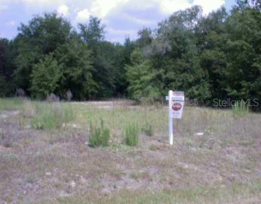 Rainey Rd., Sorrento, FL 32776