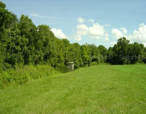 Banana Point Dr., Okahumpka, FL 34762