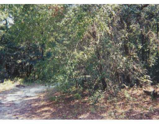 Sw 116th Place, Webster, FL 33597