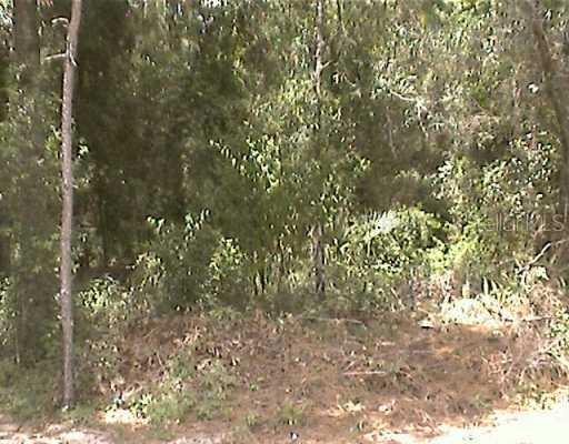 W Fifth Ave., Umatilla, FL 32784