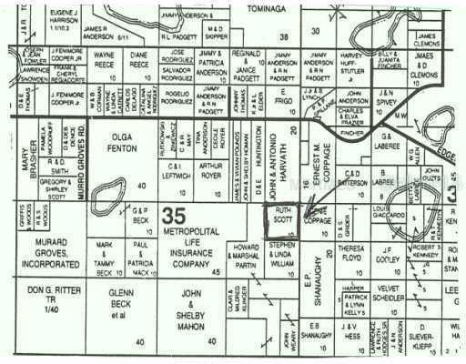 Mattioda Rd., Groveland, FL 34736