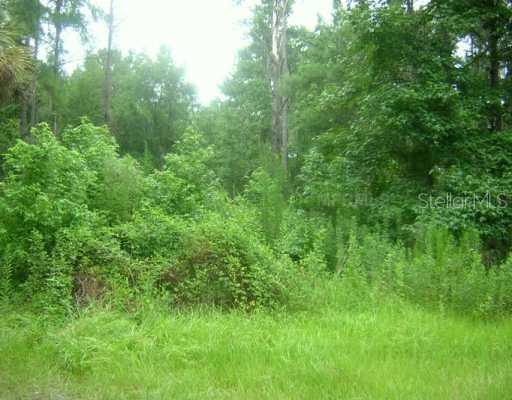 24126 Trespass Tr., Astor, FL 32102