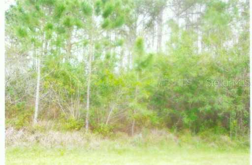 906 Tropicana Dr., Indian Lake Estates, FL 33855