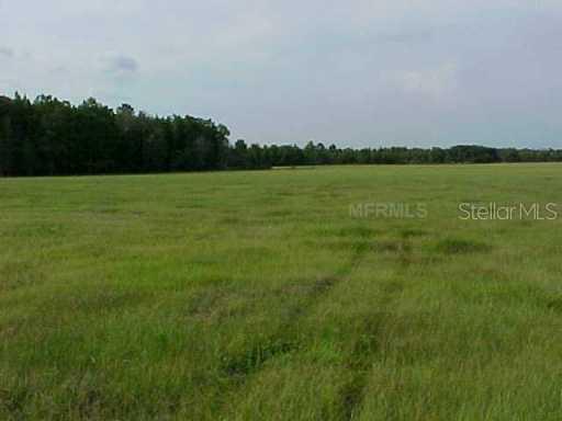 Shady Ln., Groveland, FL 34736