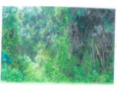 5 Tropicana Dr., Indian Lake Estates, FL 33855