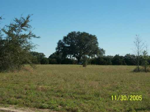 Earlwood Ave., Mount Dora, FL 32757