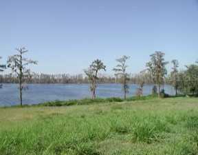 Graces Way, Clermont, FL 34711