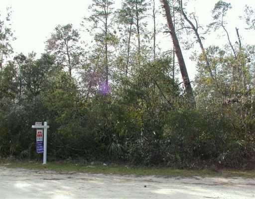 Palmetto St., Paisley, FL 32767