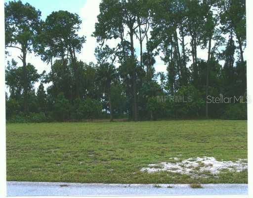 11382 E County Road, Ocklawaha, FL 32179
