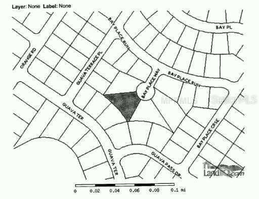 Bay Place Way, Ocklawaha, FL 32183