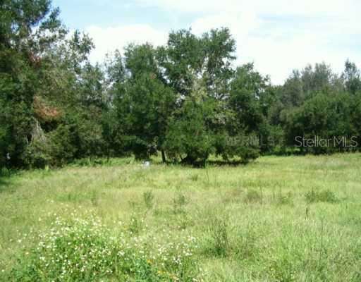 Bridges Glen Lane Lot 1 Ln., Clermont, FL 34711