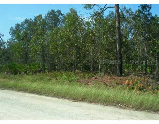 18288 Macek Rd., Brooksville, FL 34613