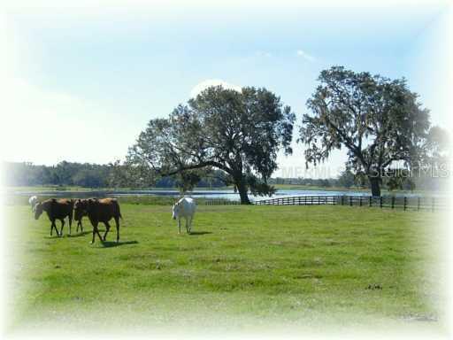 Tract 2, Cr 209, Oxford, FL 34484