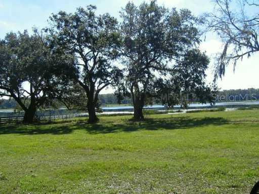 Tract 11 Cr 204 Creek, Oxford, FL 34484