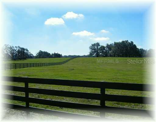 Tract 9 Cr 204 Creek, Oxford, FL 34484