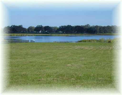 Tract 10 Cr 204 Creek, Oxford, FL 34484