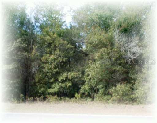Apawamis Dr., Sorrento, FL 32776