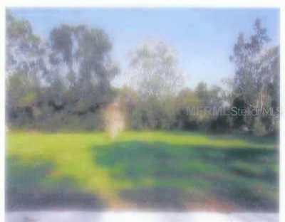 Rustwood Ln., Eustis, FL 32726