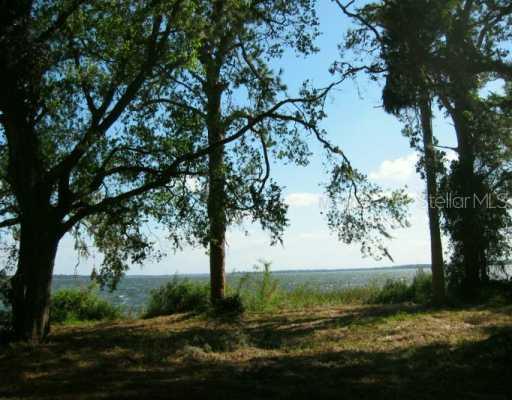 Harbor Terrace Dr., Tavares, FL 32778