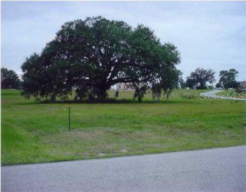 23354 Oak Prairie Cir., Sorrento, FL 32776