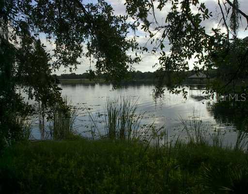 Peacock Cove Dr., Eustis, FL 32736