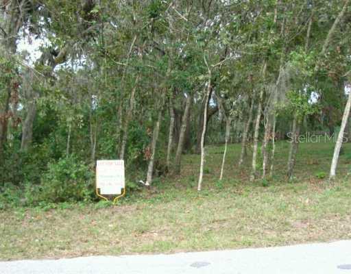 Third St St., Montverde, FL 34756