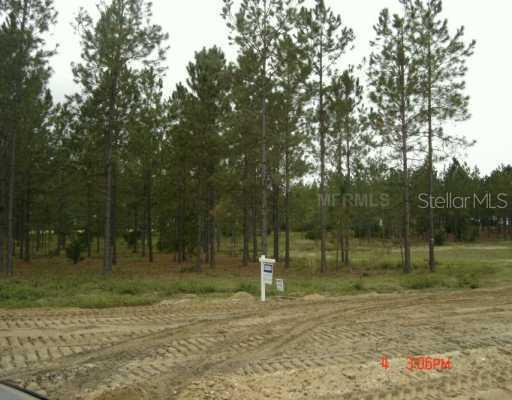 Pinegate Tr., Sorrento, FL 32776