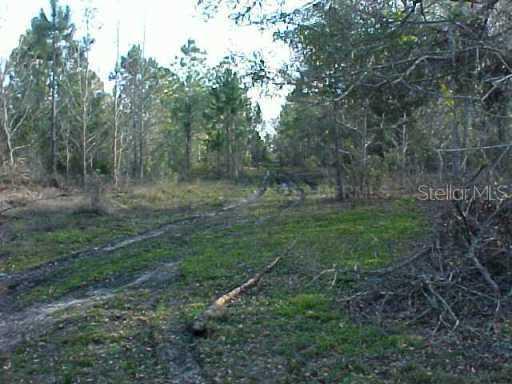 Carter Island Rd., Groveland, FL 34736