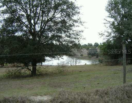 4728 Marion County Rd., Weirsdale, FL 32195