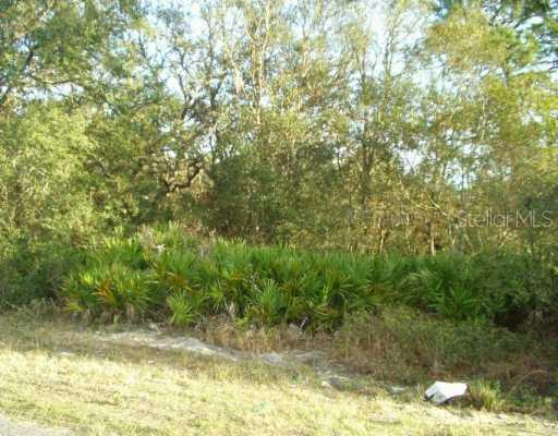 Carter Jones Rd., Groveland, FL 34736