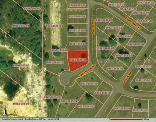 Guava Track, Ocklawaha, FL 32179