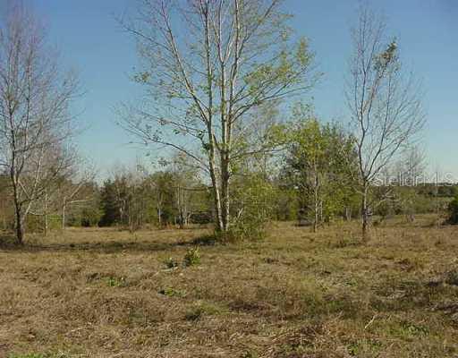 N Cr 33 & Blue Isle Ln., Groveland, FL 34736