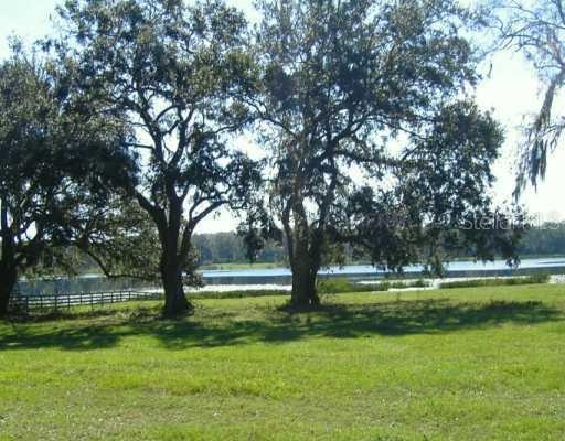 Tract #3, Cr 209, Oxford, FL 34484