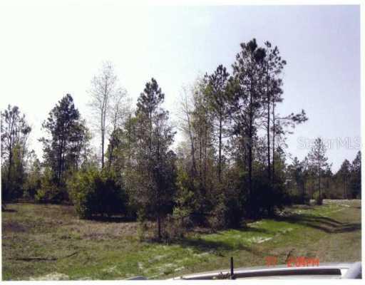 High Pines Dr., Sorrento, FL 32776