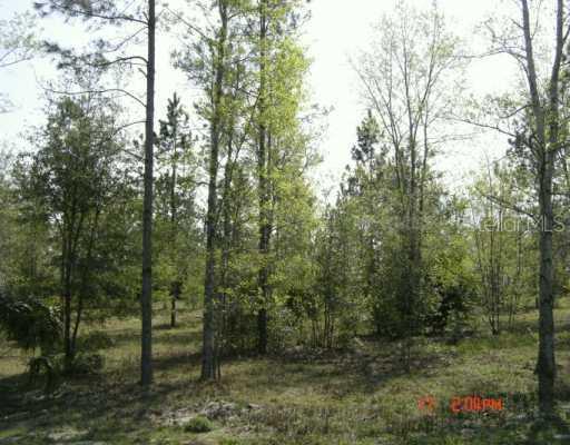 Greenwood Crossing, Sorrento, FL 32776