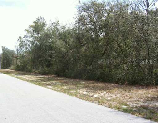 Cr, Oxford, FL 34484