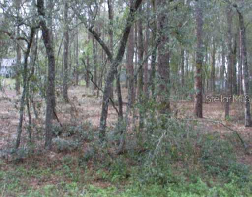 Albia Ave., Sorrento, FL 32776